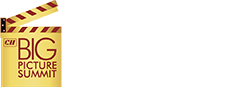 The Big Picture Summit Logo